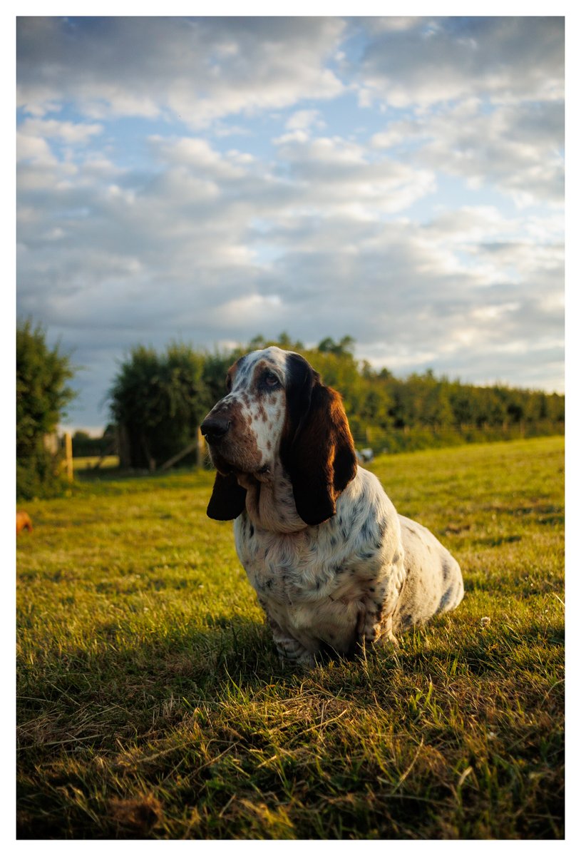 Phil Sledge tweet media