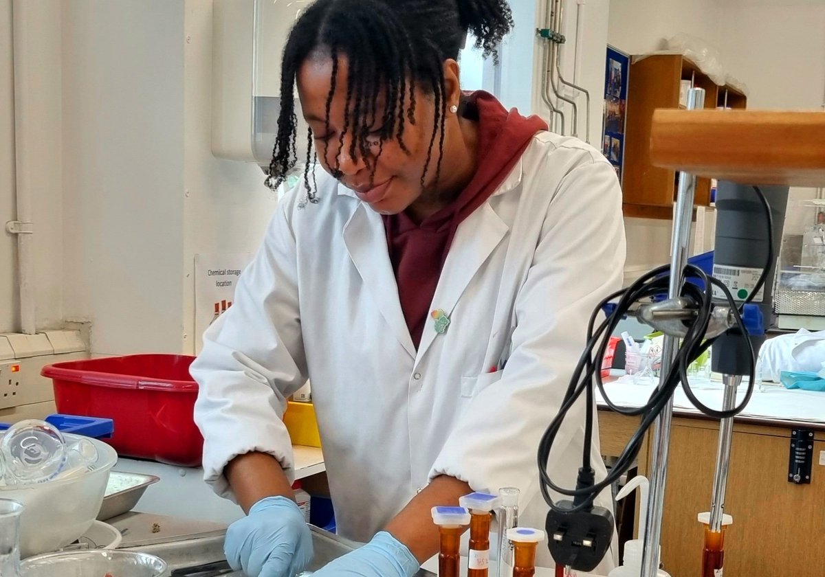 Ana-Maria Totea tweet media