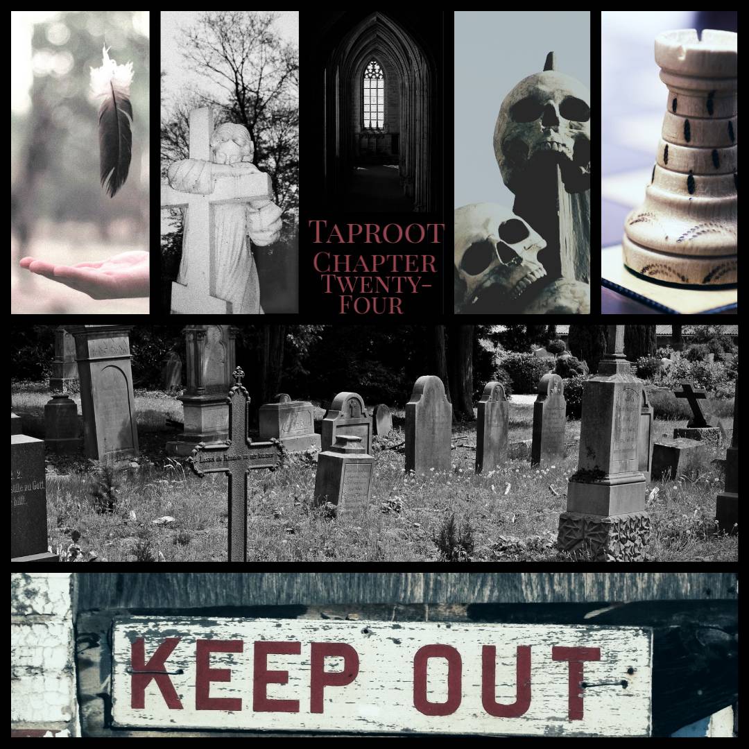 etherati 💚🤍💜 terfs fuck off tweet media