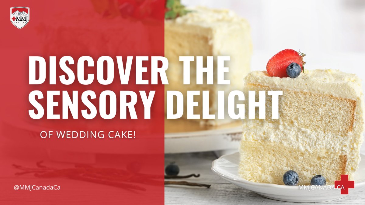 🎂Experience the perfect balance of relaxation and cerebral stimulation. Explore our blog for an enlightening journey into the world of Wedding Cake!

mmjcanada.ca/2023/05/26/a-d…

#wellness #MMJCanada #cannabisculture