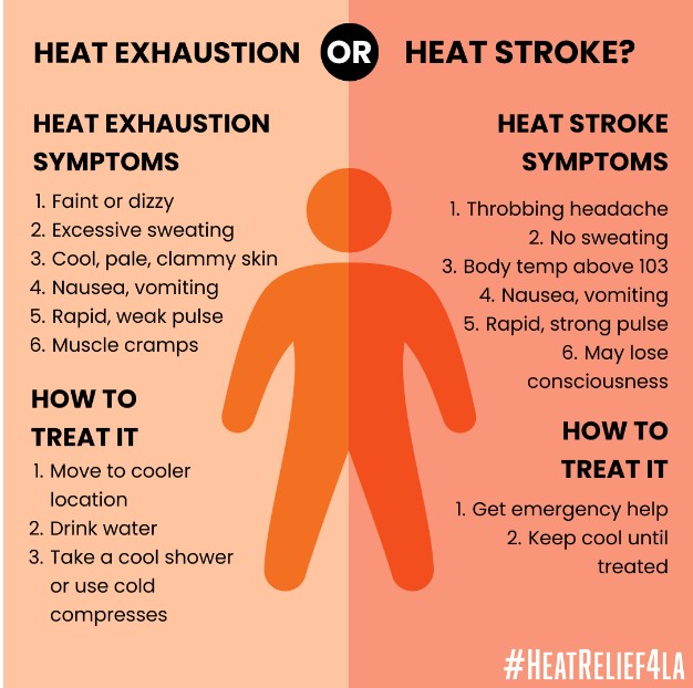 NoHoLibFriends's tweet photo. The North Hollywood Amelia Earhart Library is designated a Cooling Center by LA City. We welcome everyone to beat the heat with us during regular business hours. 
#BeatTheHeat #publiclibraries https://t.co/lqdx3RRmc6