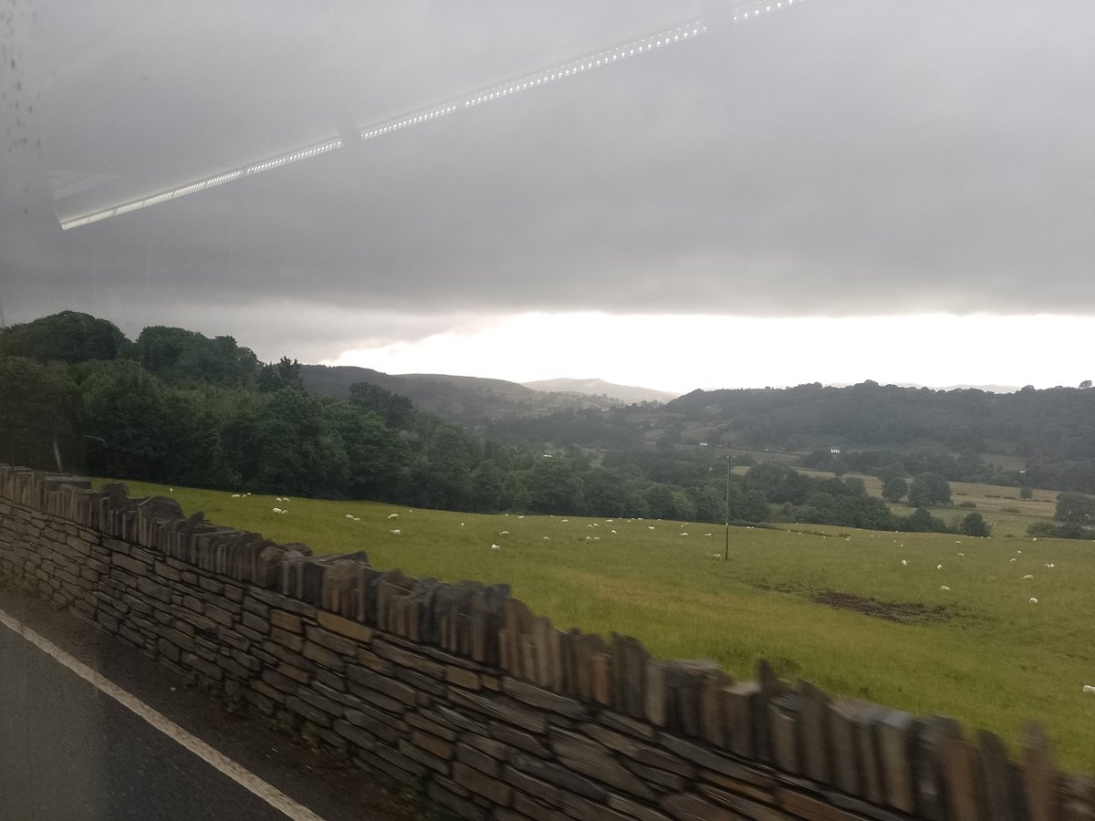 Convinceables Adventures tweet media