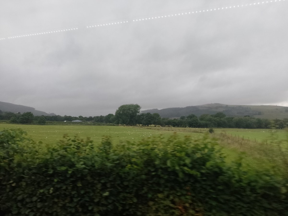 Convinceables Adventures tweet media