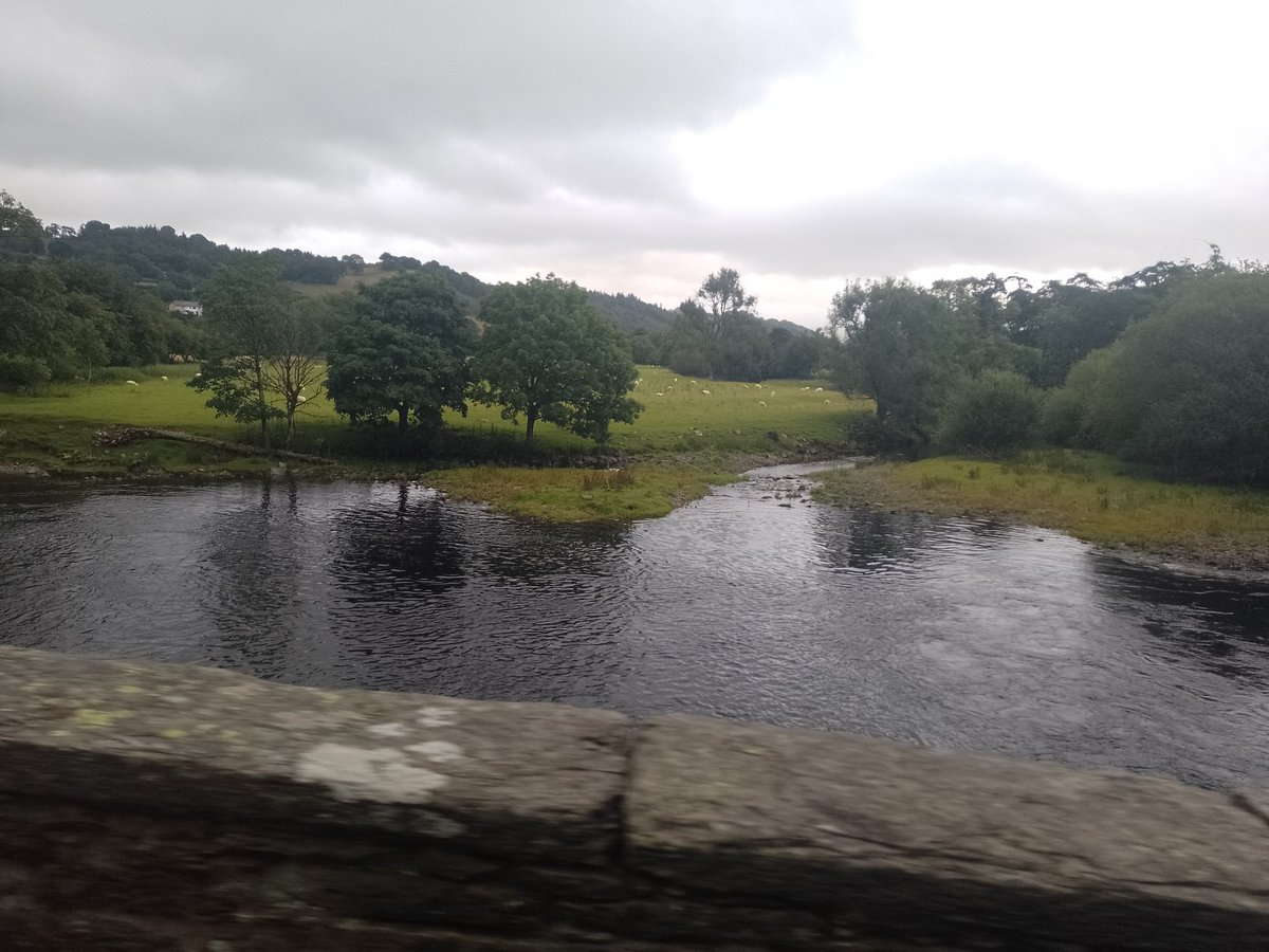 Convinceables Adventures tweet media