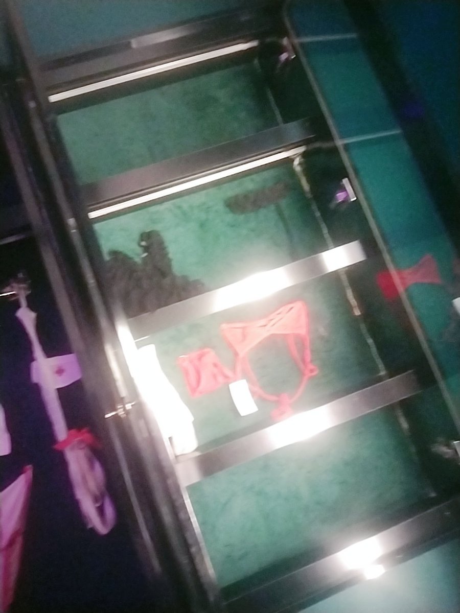 Gái Cần Thơ tweet media