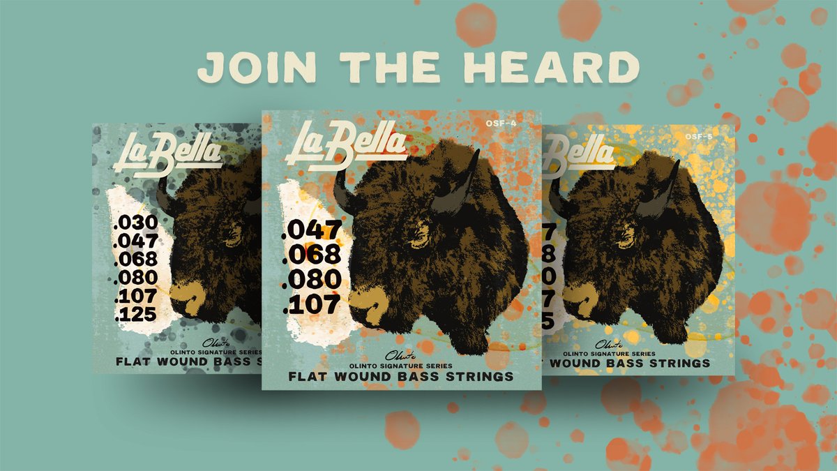 Check out our latest innovation in flat wound strings. urlis.net/510y04m0