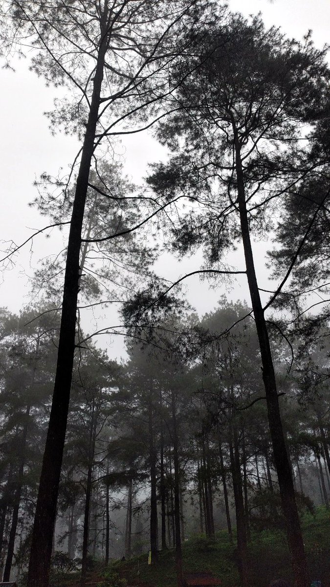 liburan ke dunia lain