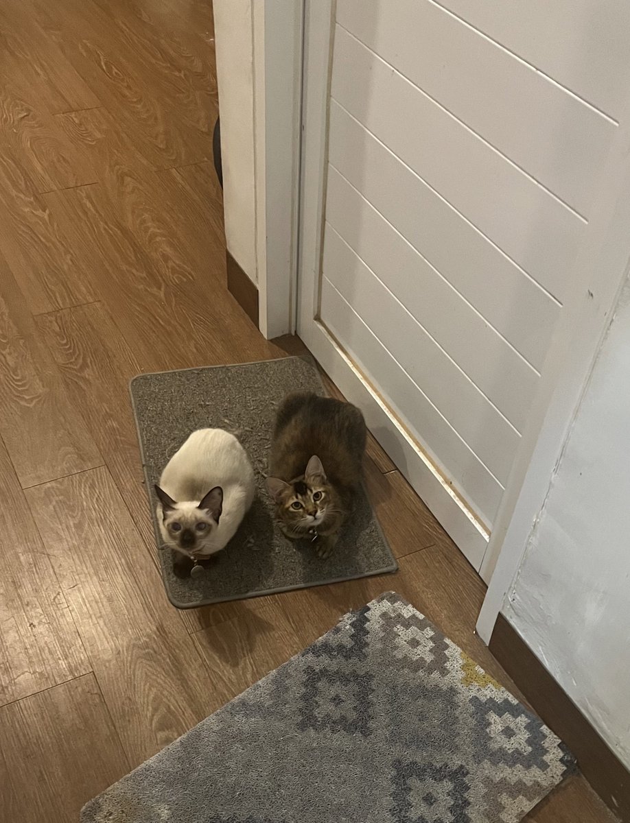 Jupidut Batubara on Twitter: 