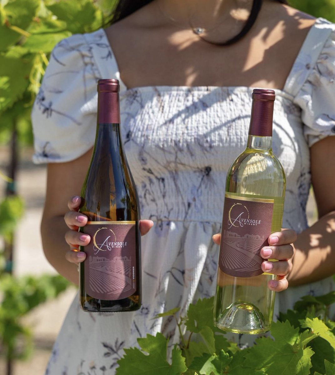 Our 2022 Susan (100% #sauvignonblanc) and 2022 ‘#Viognier are now available in the Tasting Room and online!

Viognier is luscious and vibrant while our Susan is an aromatic and complex.

#avensolewinery #visittemecula #liveglassfull