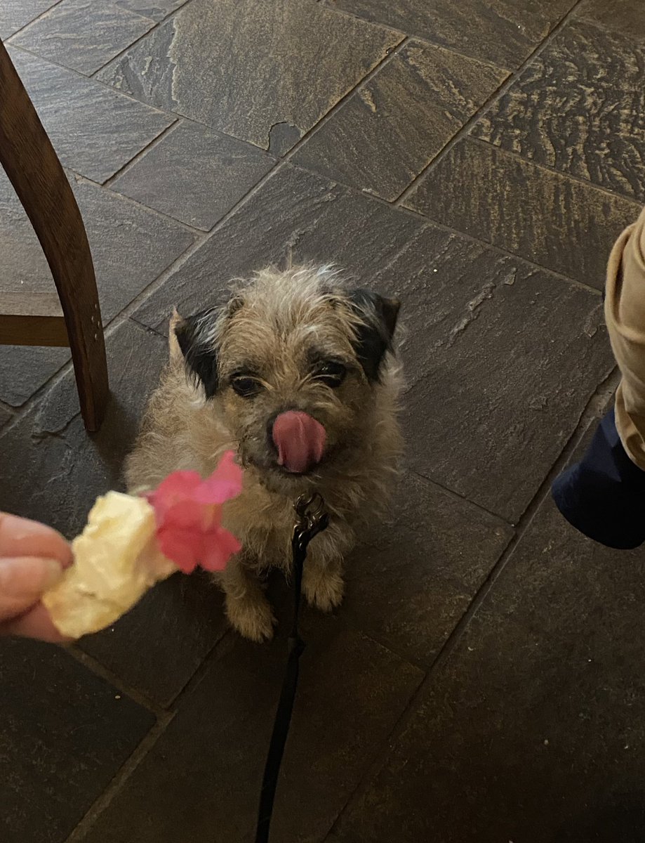 BorderBaxter's tweet image. Thank you to Mauls Wine and Cheese Bar for all my tasty treats this lunchtime! Yummo! #BTPosse