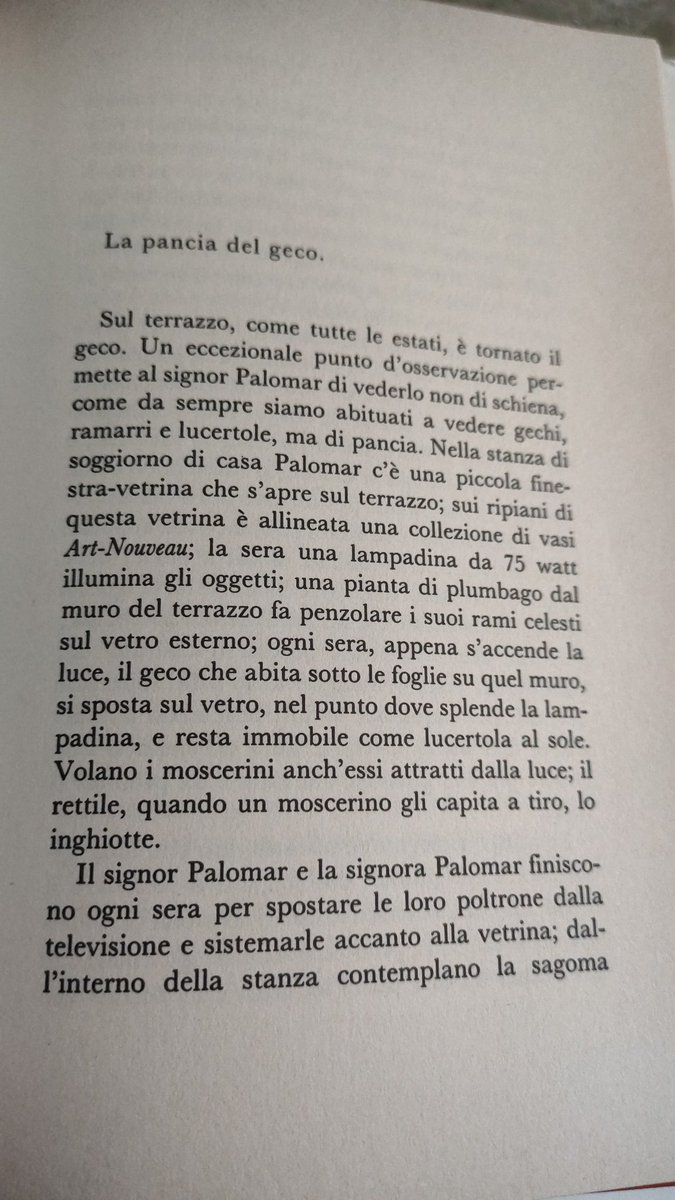 nicoletta cardano tweet media