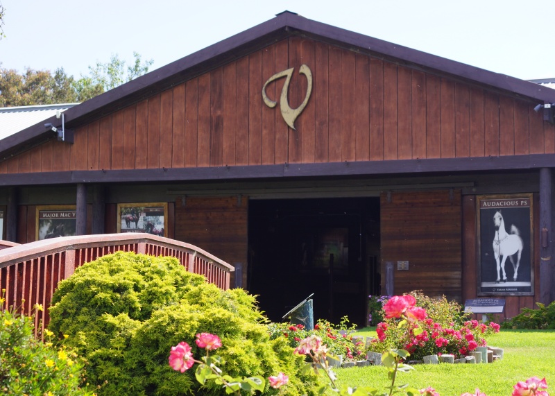 slohn's tweet image. 🐴 Weekly Scoop - - mailchi.mp/e5f664155937/w… The 'V' Stays at the NEW Varian Equestrian Center

#Varianarabians #arabians #exploreslo