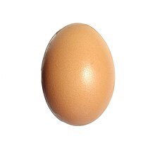 Traprhyme's tweet photo. @MrBeast https://t.co/J6YVs6NAlt