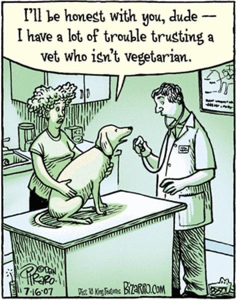 Bonorcafante 🇵🇸 tweet media