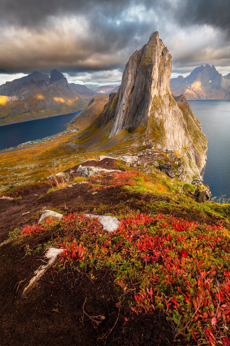 Travelingossip's tweet photo. Experience the breathtaking beauty of the #Fjords in #Norway. With its dramatic cliff faces, sparkling waters, and unspoiled nature, a boat ride through these geological wonders offers an unforgettable romantic experience. #NaturalSplendor #TravelFact #Travel https://t.co/zl5YwnbB0m