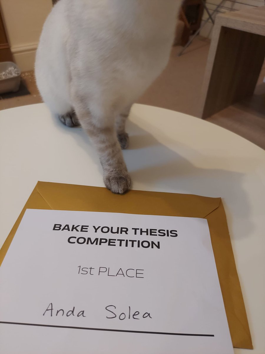 Anda Iulia Solea tweet media