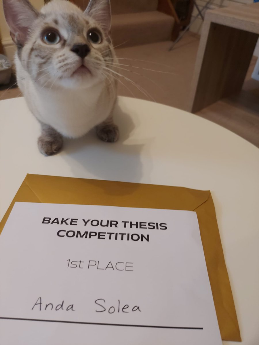 Anda Iulia Solea tweet media