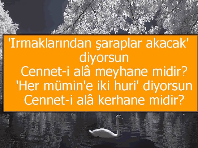 Traprhyme's tweet photo. @Uzaktan_Gelen_ https://t.co/OrGDFg3Lte