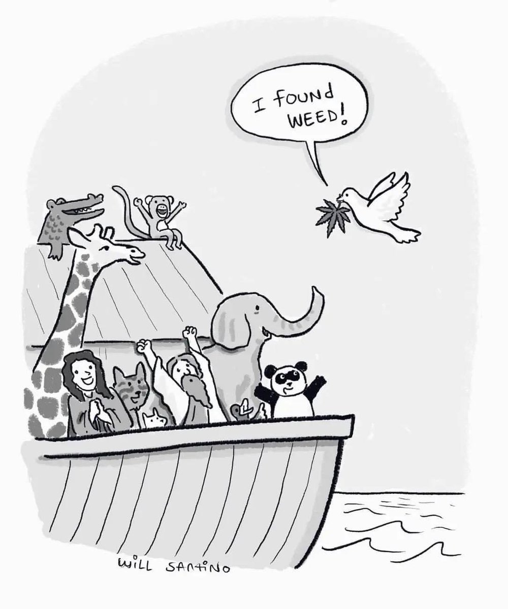 It’s FriHighDay 🥳🙌🙌 sending tons of love, light and positive vibes to everyone. Taker care and best wishes always 😊❤️✌️🌿💨