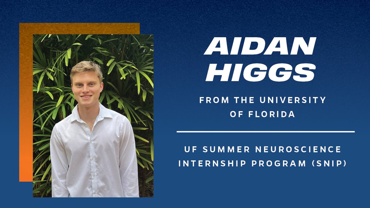 UFNeuroscience's tweet photo. Meet Aidan! A junior at @UF, Aidan Higgs is completing his SNIP research experience under the mentorship of Dr. Nancy Padilla-Coreano. @DrNancyPadilla
#SNIP23 https://t.co/wVmmZshSlm