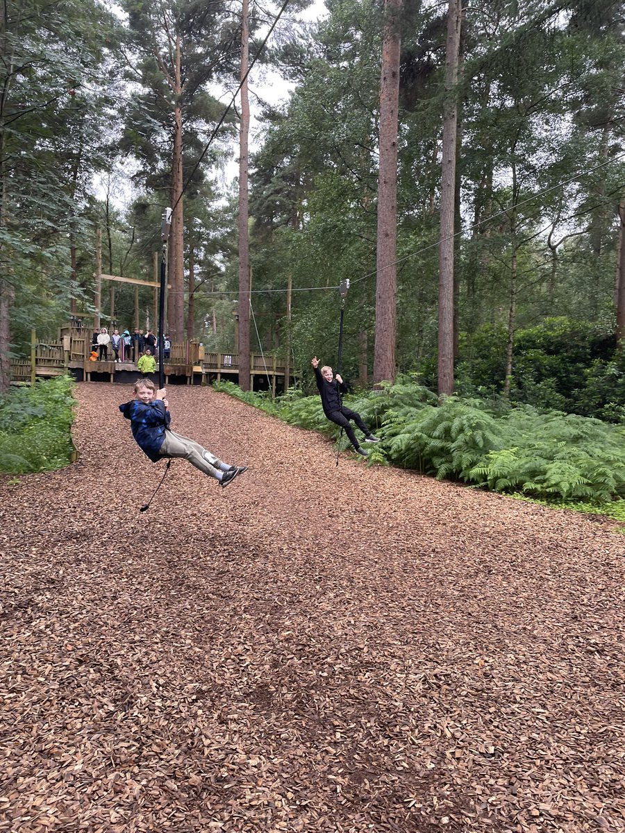 LittleMissHeyes's tweet photo. Swinging into the end of the year @BeWILDerwoodCHR @saintoswalds https://t.co/rnFHkHywEE