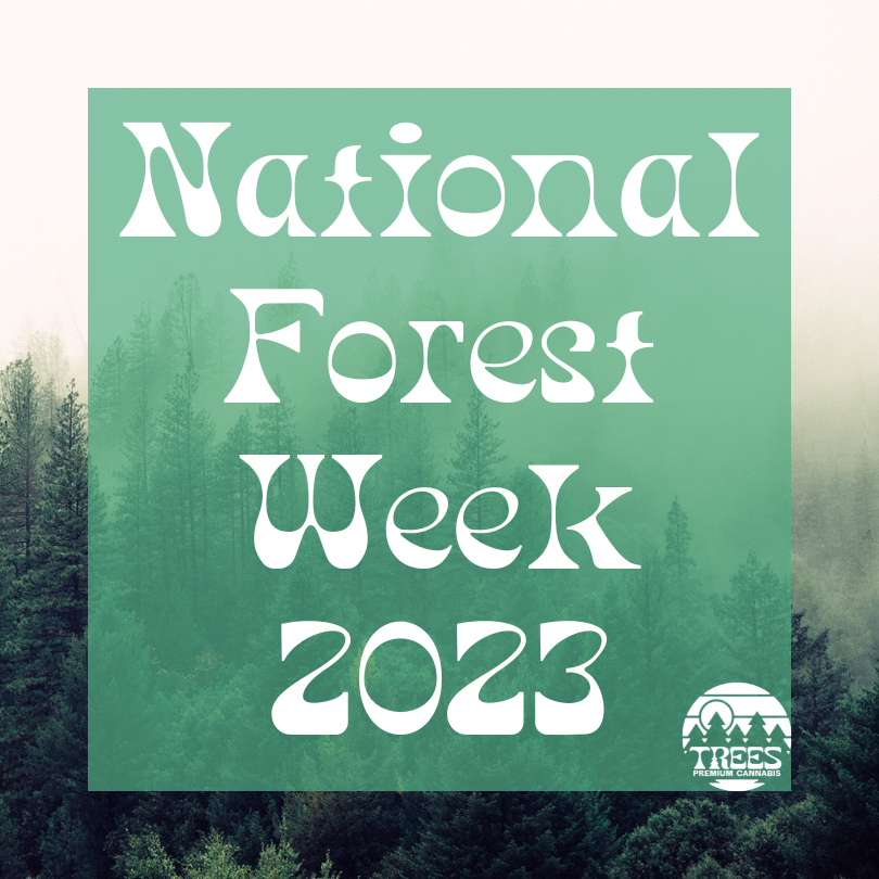 TreesTPC's tweet image. We're in the midst of #NationalForestWeek and loving every second of it 🌲 #smokeatreeplantatree
