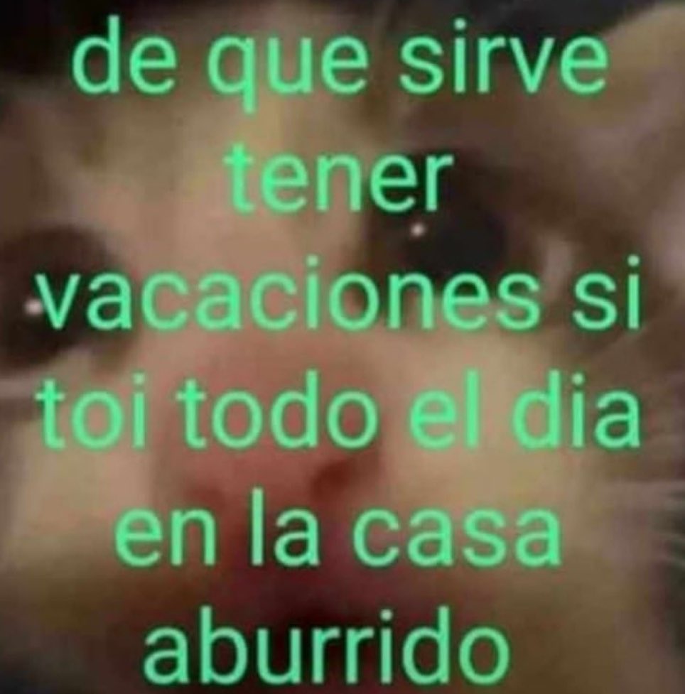 piña sin pizza (@skereunpesado) on Twitter photo 