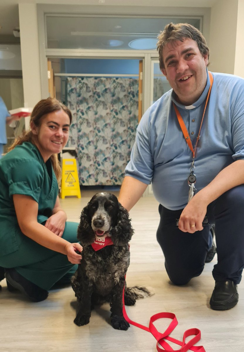 huwrob62's tweet photo. Llawer o law, ond llawer o wenu heddiw yn Ysbyty Brenhinol Morgannwg ar gyfer Jet ❤️
@CariadPet 
#pettherapy #dogsofinstagram #therapydog #therapydogsofinstagram  #animalassistedtherapy #therapyspaniel #roanspaniel #wellbeing #cariadpettherapy https://t.co/awlhVSHY9g