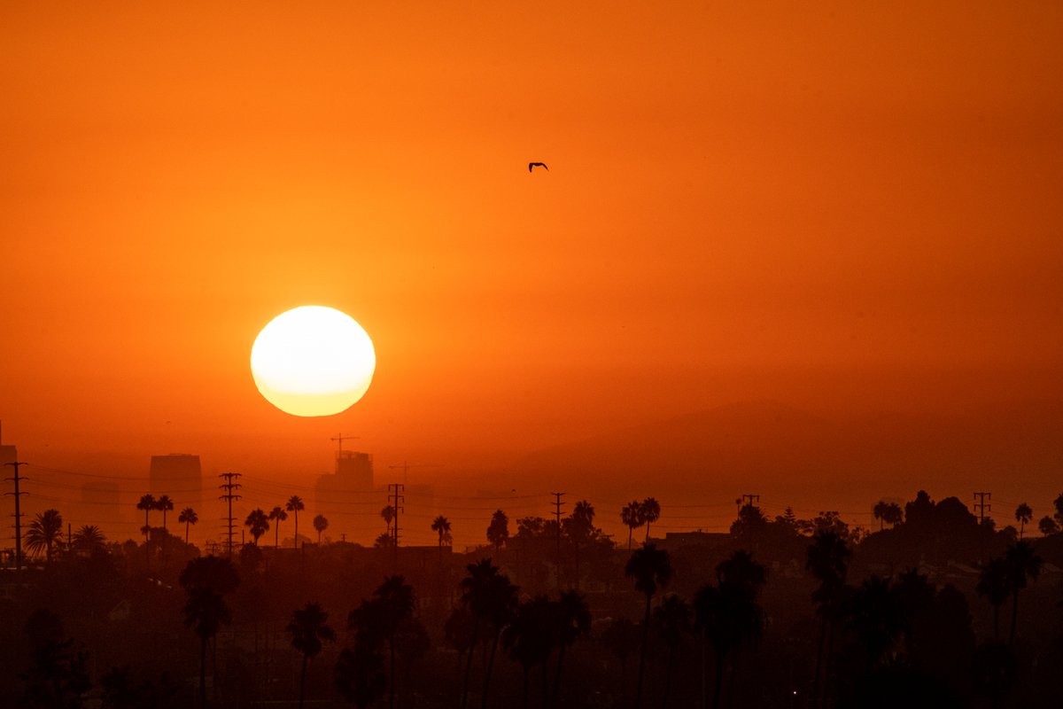 New blog: Studies suggest racially minoritized groups show higher levels of anxiety, depression, PTSD &amp; other mental health disorders. For #MinorityMentalHealthMonth, our policy team highlights extreme heat's adverse effect on minority mental health: bit.ly/3XUP1L0.