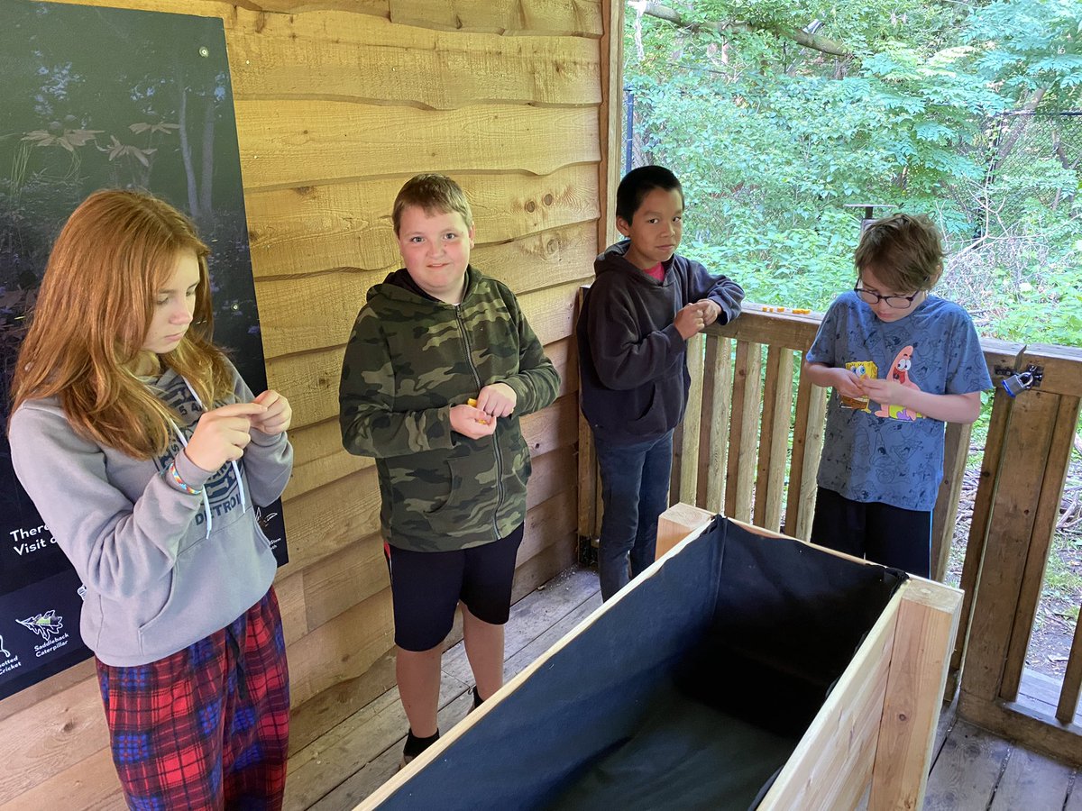 The planter boxes are ready! What do we need to know about the boxes to fill them with the correct amount of soil? <a href="/CampMigizi/">campmigizi</a>  <a href="/OjibwayPrairie/">OjibwayNatureCentre</a> <a href="/gecdsbpro/">GECDSB PR</a> <a href="/TinaDeCastro1/">Tina DeCastro</a> <a href="/joseph745613165/">Zozep</a> #GECDSBSLP2023
