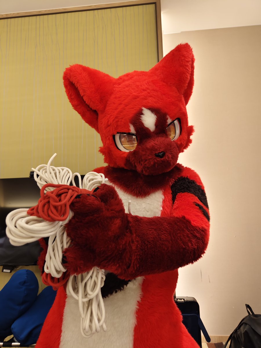 "Look! A lot of rope!"
at this moment
bozon doesn't know yet in the next hour
He can only do some pointless struggle...🥲

📷 <a href="/Dreamer2x2/">DreamerWolf夢狼</a> 

#FursuitsFriday