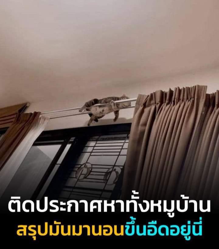 พุงน่าจกเลยยย