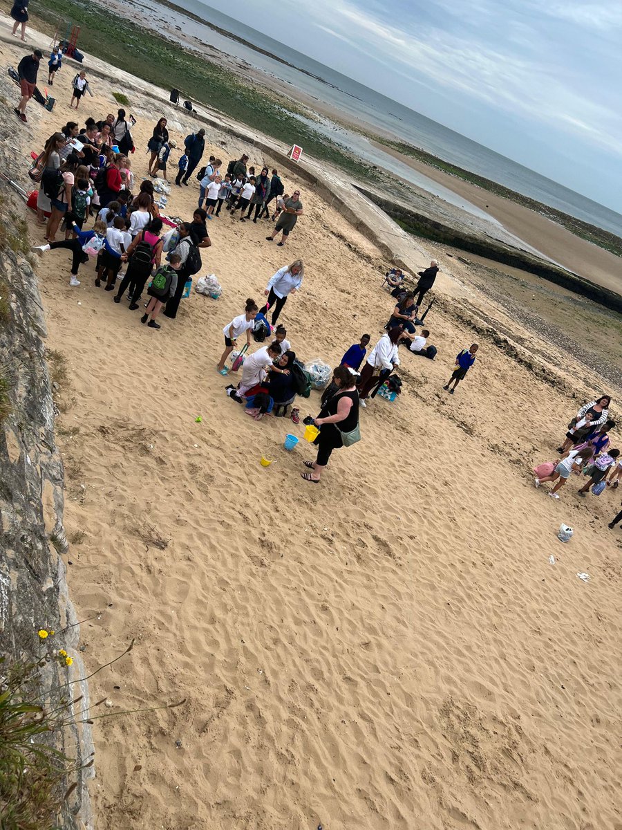 Foxfield Year 1 Pine tweet media