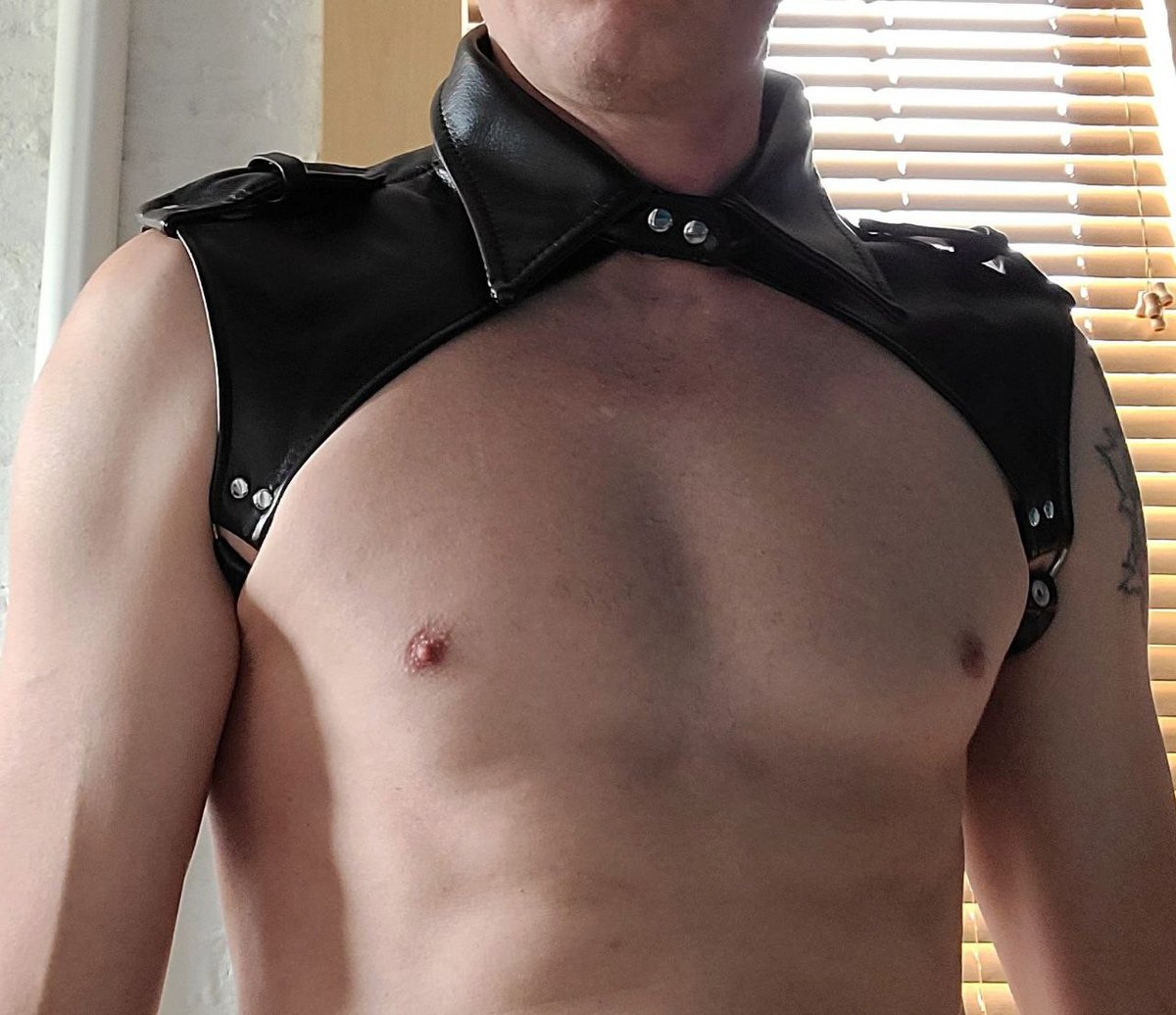 PupSploot's tweet photo. Does it need a bowtie?   #worldssmallestnipples https://t.co/aHHCklw4tX