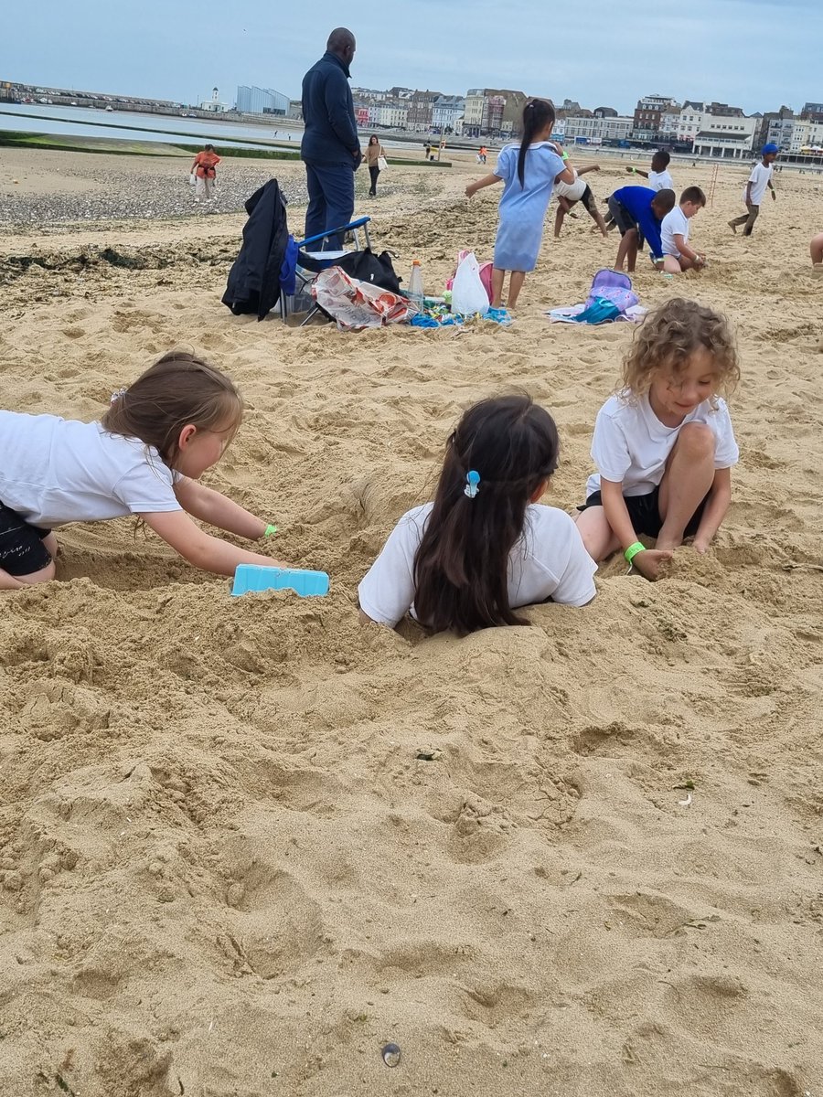 Foxfield Year 1 Pine tweet media