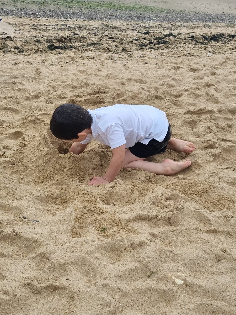 Foxfield Year 1 Pine tweet media