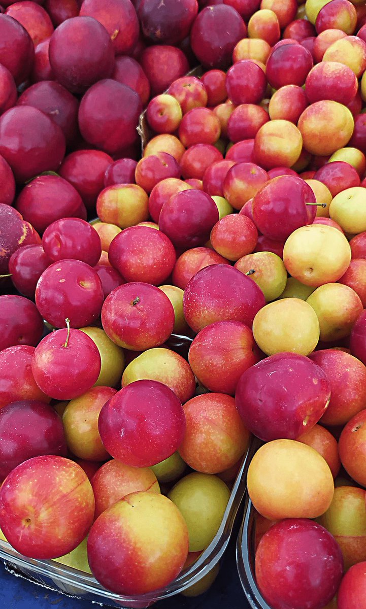 NFTdropart's tweet photo. #veganfood #vegetables #FoodieBeauty #plums #NFT
#NFTsales #NFTsForSale #NFTCollection #NFTartist #nftcreator #nftart #cryptoart #CryptoCreator #Crypto
#nftnewyork #NFTdrop

Abundance of Plums: A Colorful Bazaar Delight
https://t.co/vOaDZhEbm1 0.02 ETH https://t.co/Ub3ynKI9XQ