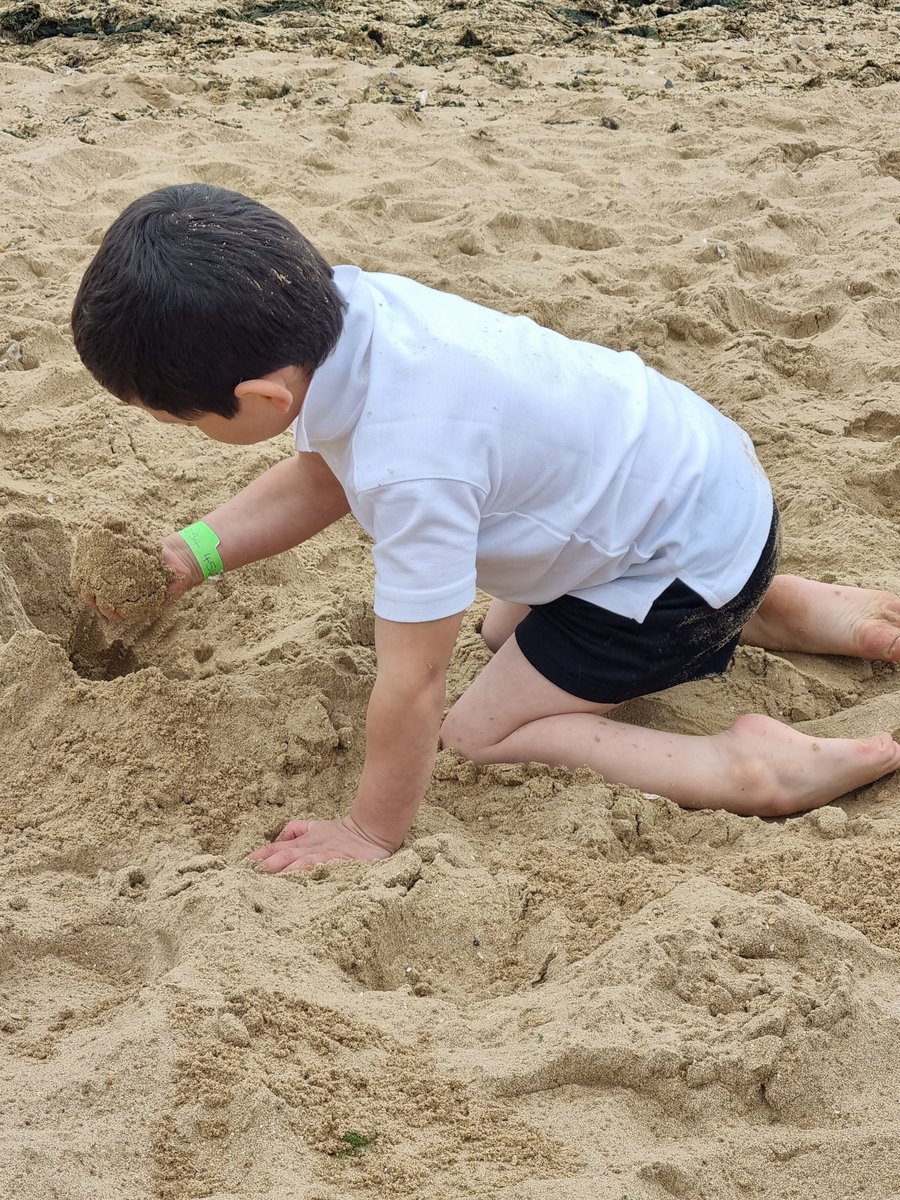 Foxfield Year 1 Pine tweet media