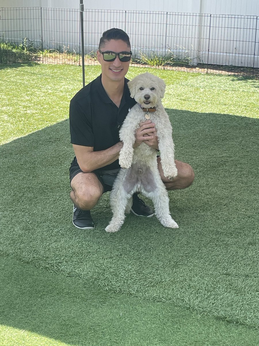 Corcha Balanced K9 tweet media