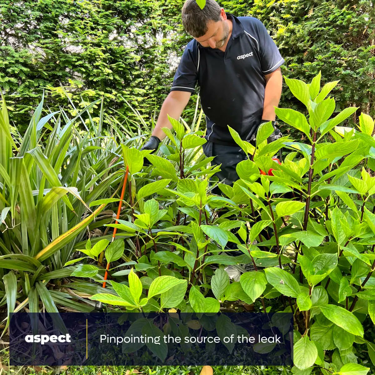 Here's a member of our leak detection team in action. This specialist process allowed him to find a leak on an underground mains water supply pipe - saving the property owner time and money! Click buff.ly/3PFcHRe to learn more or book online.