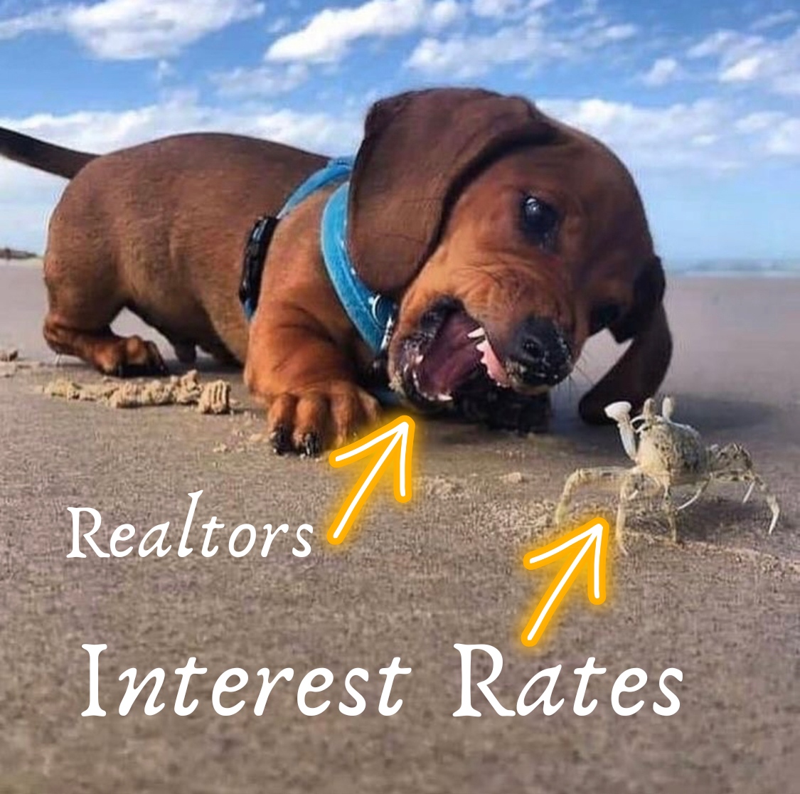 Dashing004's tweet image. Want to talk about it? Call me at 804-210-2227.
.
.
.#ArchitecturallySignificant #AthletesCelebrities #FathomRealty #CountryClubProperties #BestRealtorinRichmond #ExecutiveRelocation #DwayneSpillerRealtorllc #GolfCourseHomes #Fathomthat #1031Exchanges #BestinRva #GatedCommunities