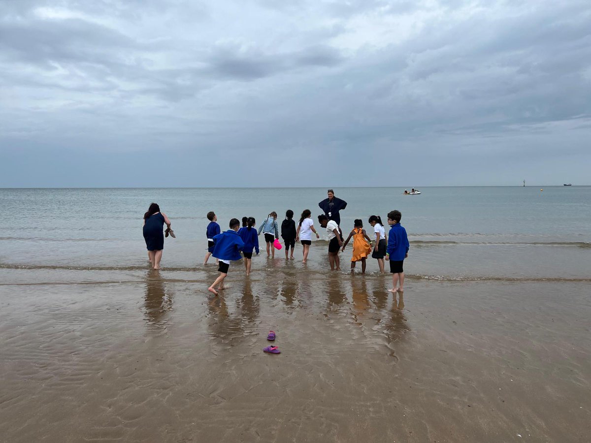 Foxfield Year 1 Pine tweet media