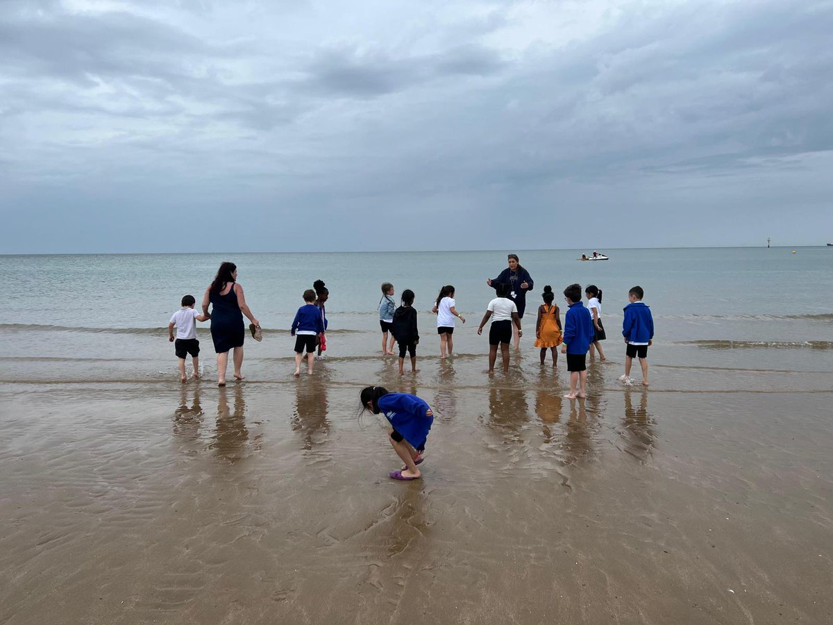 Foxfield Year 1 Pine tweet media