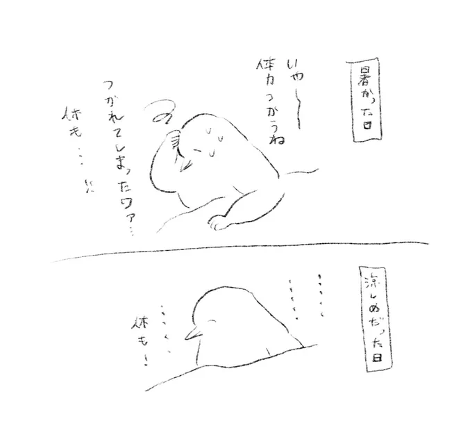 言い訳 