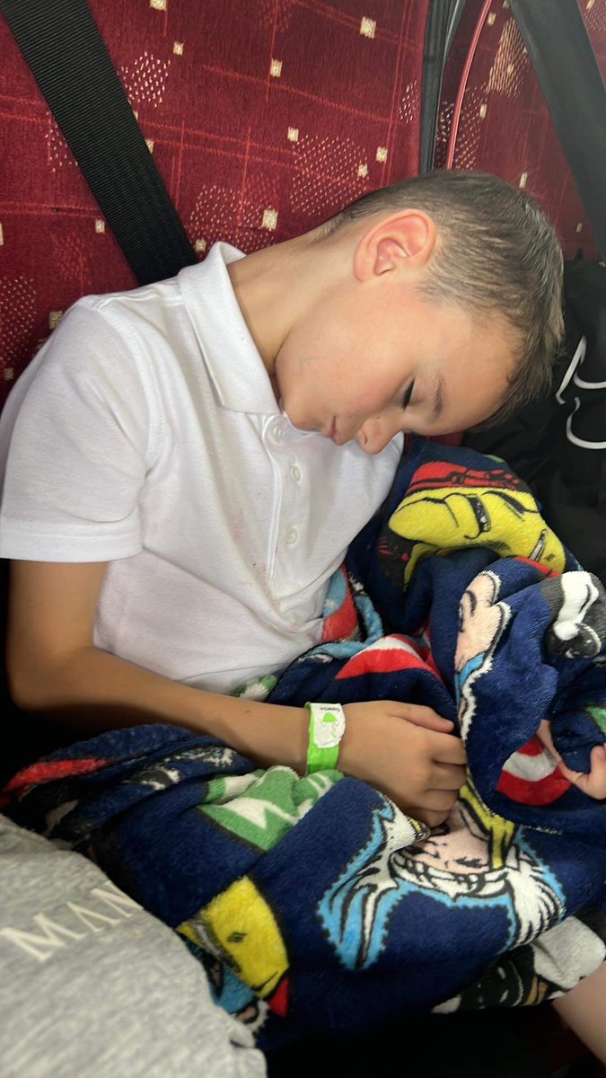 Foxfield Year 1 Pine tweet media