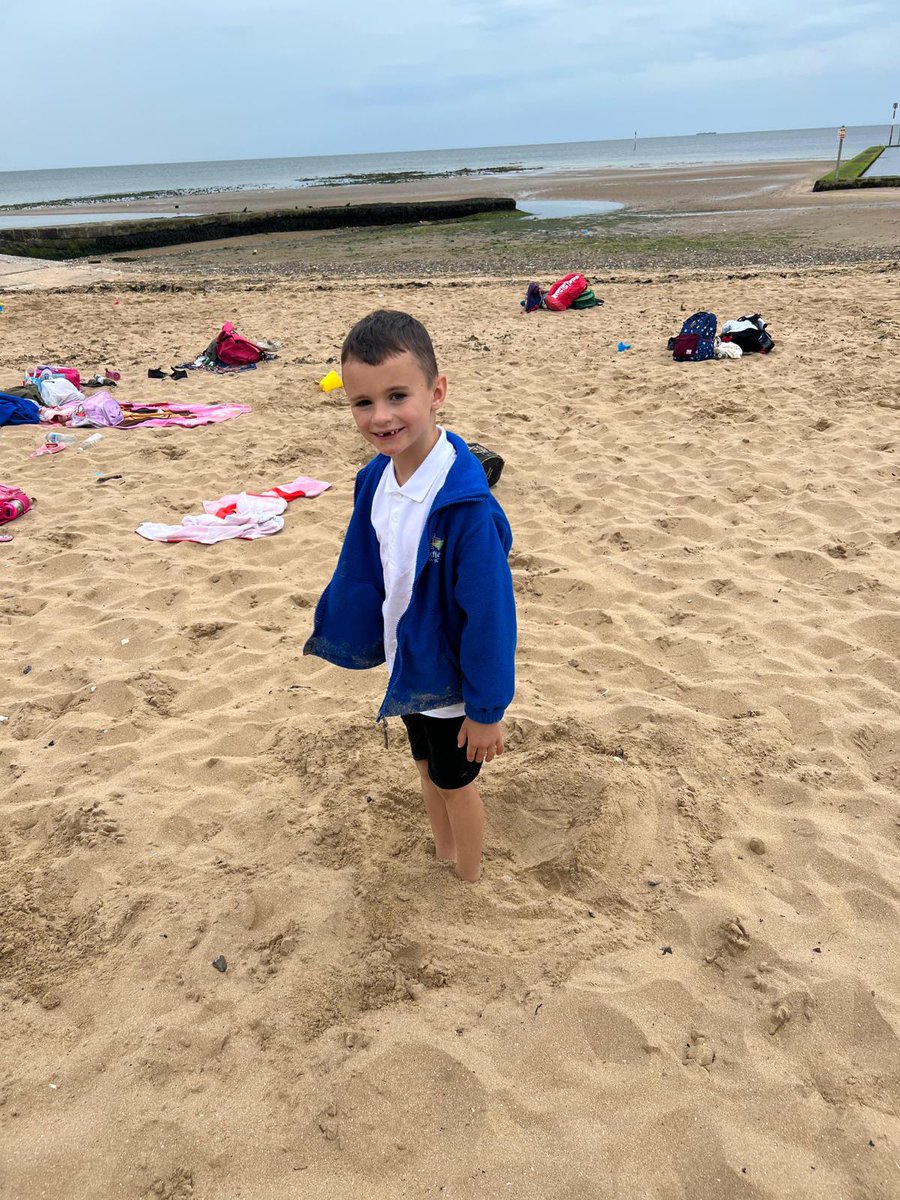 Foxfield Year 1 Pine tweet media