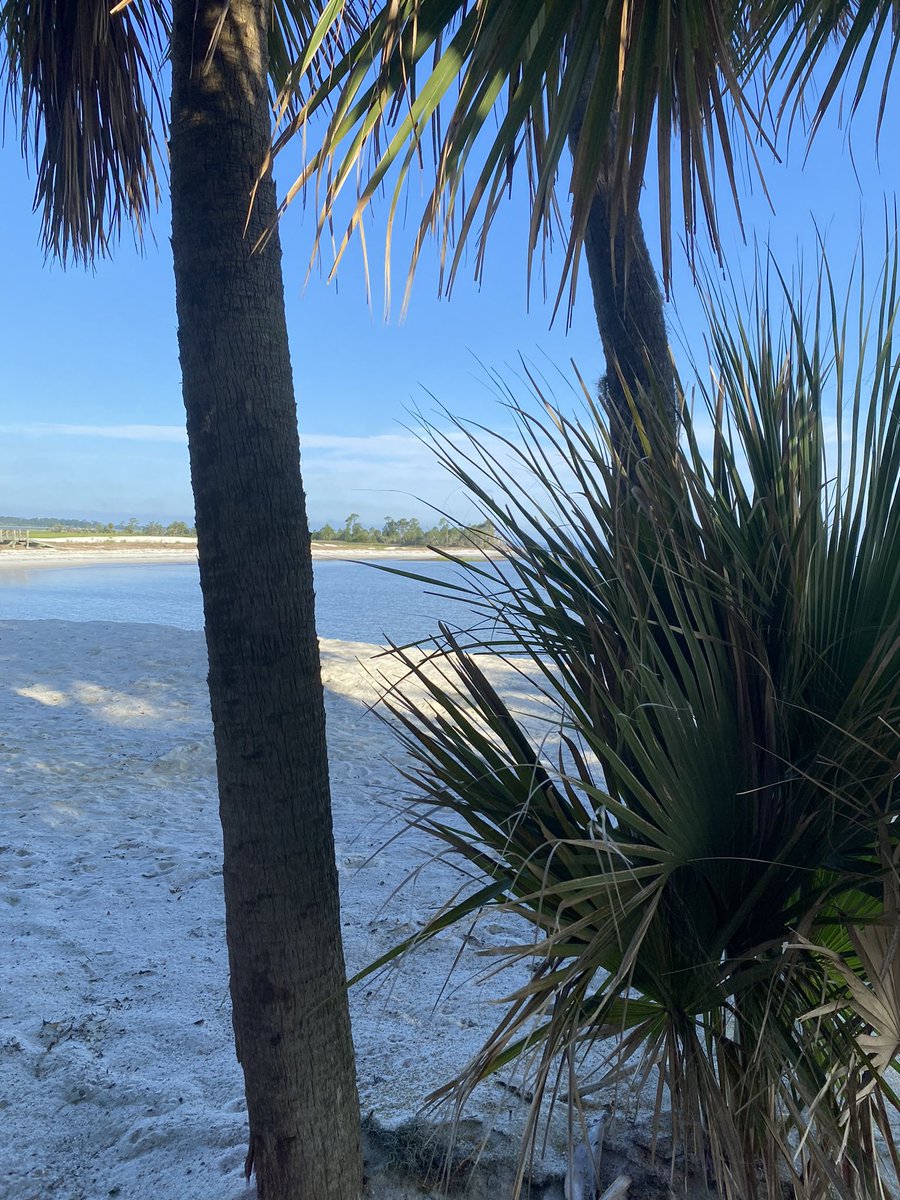 Good morning from Dolphin Head #HiltonHeadIsland