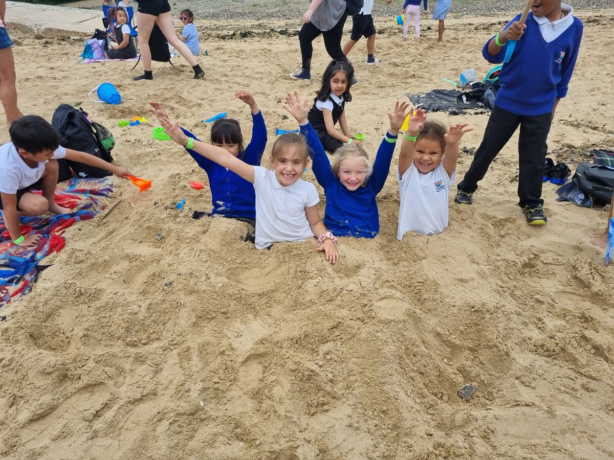 Foxfield Year 1 Pine tweet media