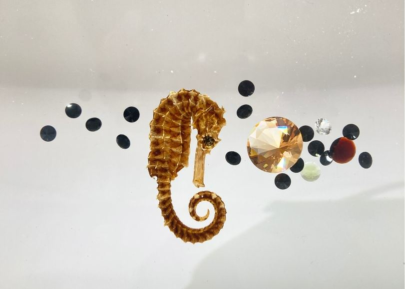 Dutch Culture USA on Twitter "During Upstate Art Weekend 2023 July 22