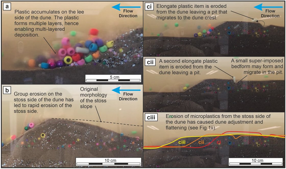 The presence of plastic particles in riverbed sediments can alter depositional processes and dune morphology and lead to more sand being locally mobilised to the water column. @SeddyRocks @IceMeanders @bedform nature.com/articles/s4324…